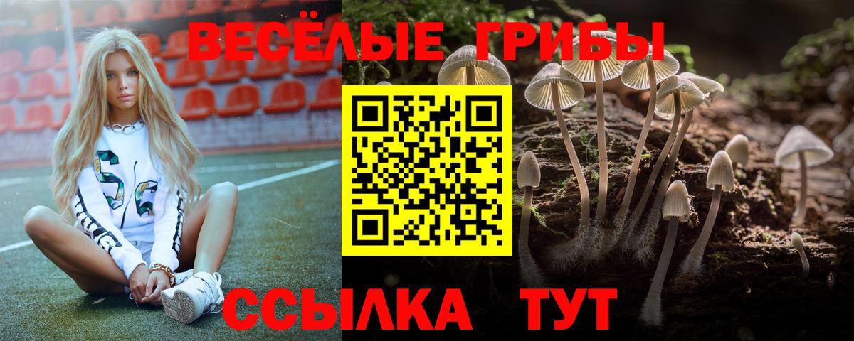 Псков  Псилоцибиновые грибы ЛСД  Вход с VPN 