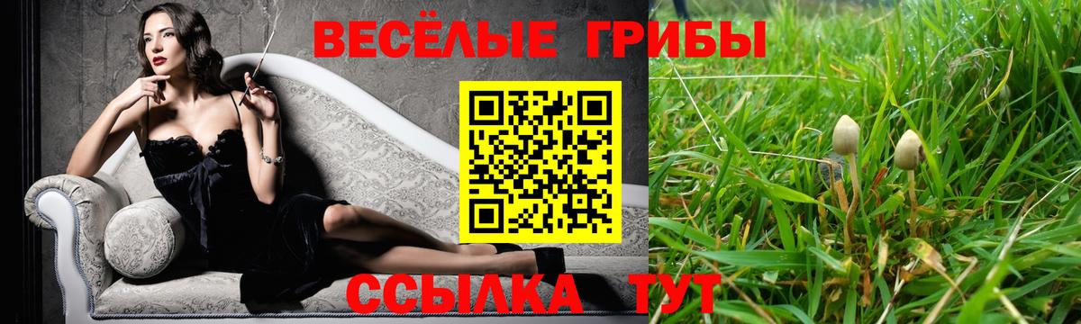 Галлюциногенные грибы Psilocybine cubensis Псков