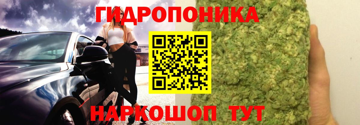 Бошки марихуана THC 21% Псков